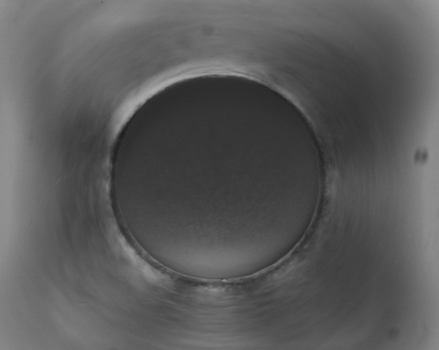 X0000111371508200907171145