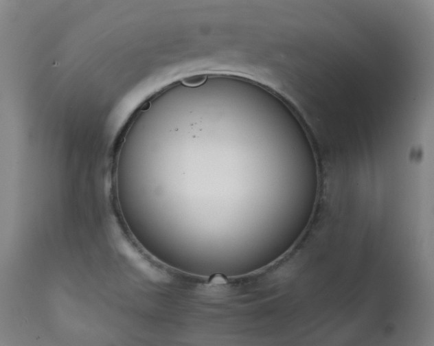 X0000111371511200907171145