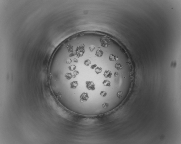 X0000111371513200907171145