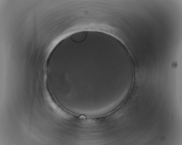 X0000111371515200907171145