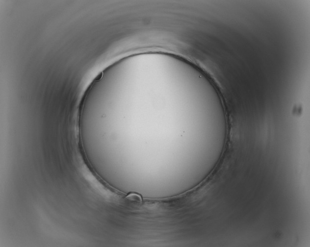 X0000111371516200907171145