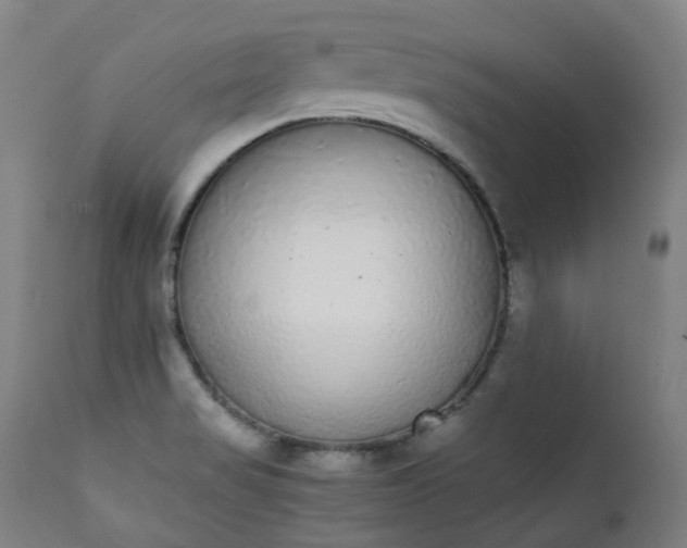 X0000111371517200907171145