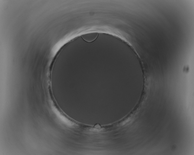 X0000111371519200907171145