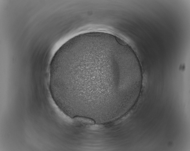 X0000111371520200907171145