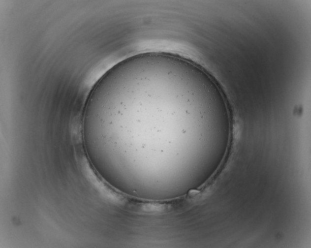 X0000111371521200907171145