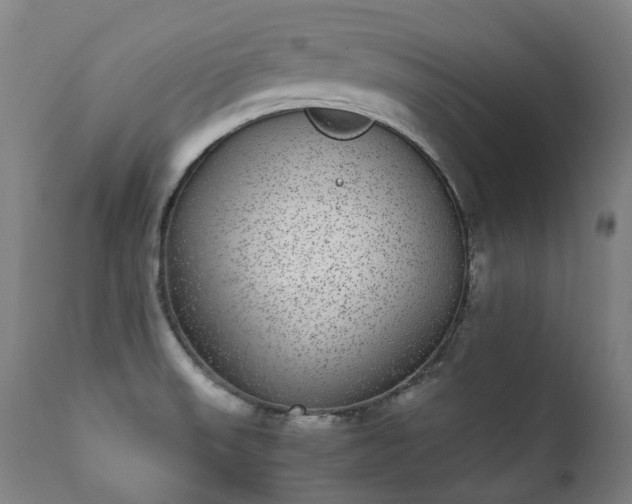 X0000111371523200907171145