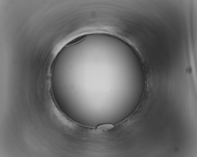 X0000111371524200907171145