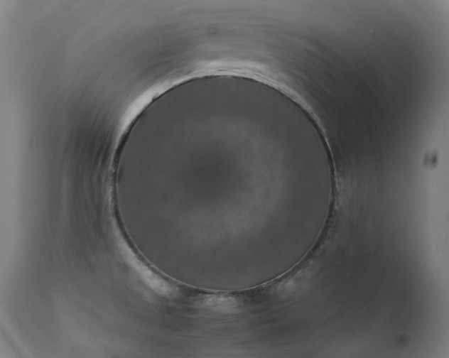 X0000111371525200907171145