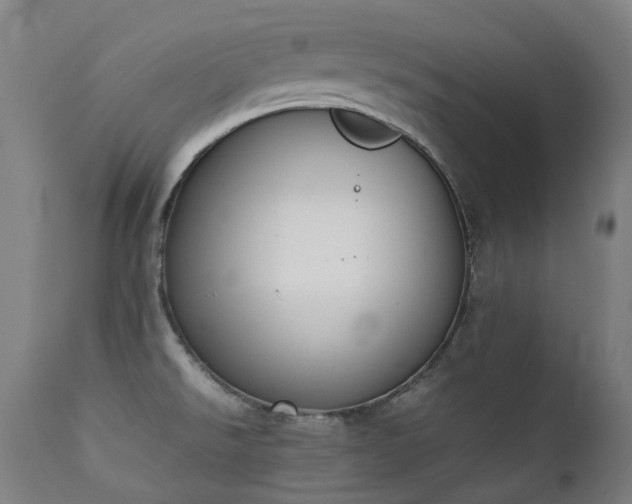 X0000111371526200907171145