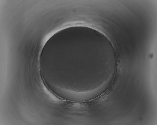 X0000111371527200907171145