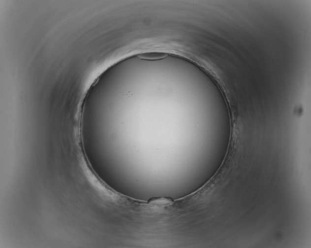 X0000111371528200907171145