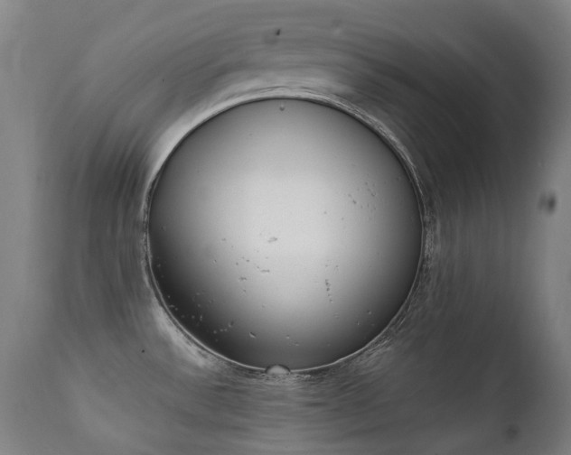 X0000111371532200907171145