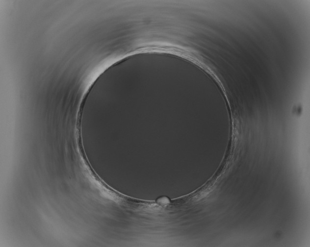 X0000111371533200907171145