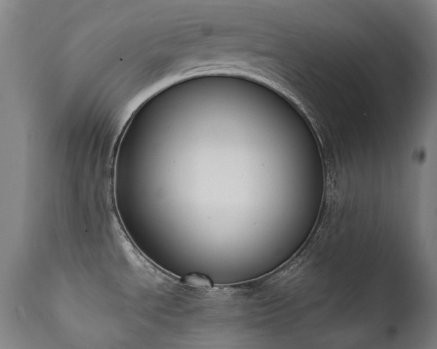 X0000111371534200907171145