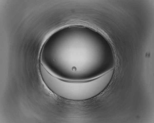 X0000111371536200907171145