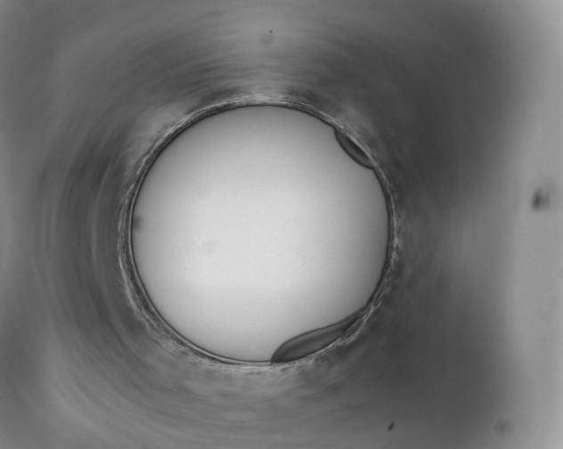 X0000111370001200907241257