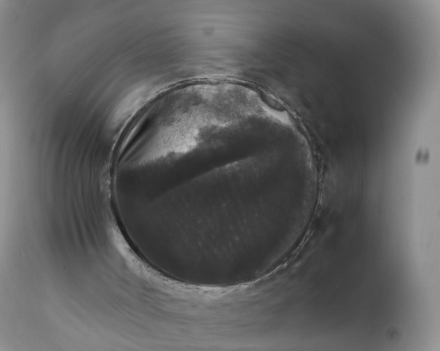 X0000111370002200907241257