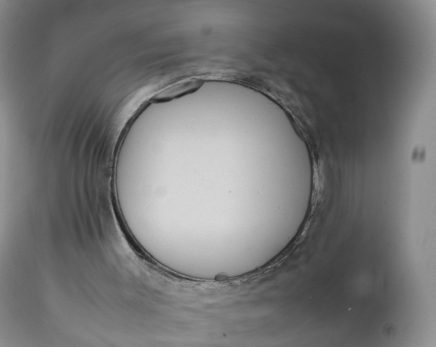 X0000111370003200907241257