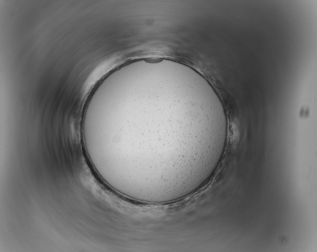 X0000111370004200907241257