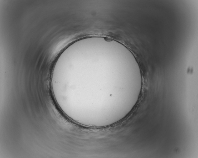 X0000111370005200907241257