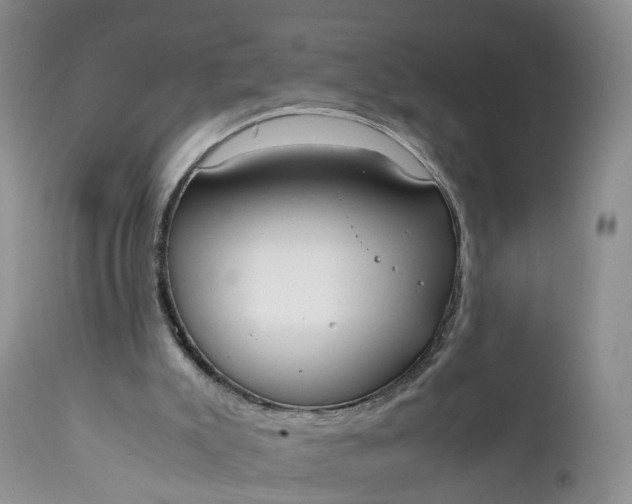 X0000111370007200907241257