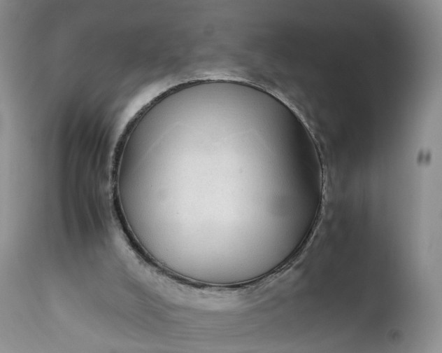 X0000111370008200907241257