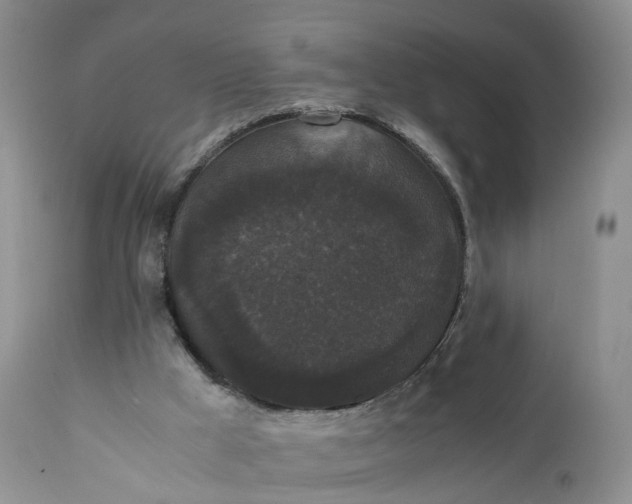 X0000111370009200907241257