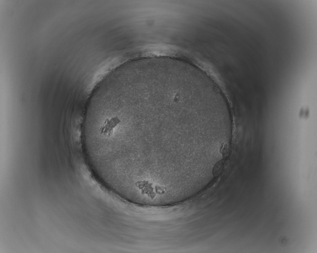 X0000111370010200907241257