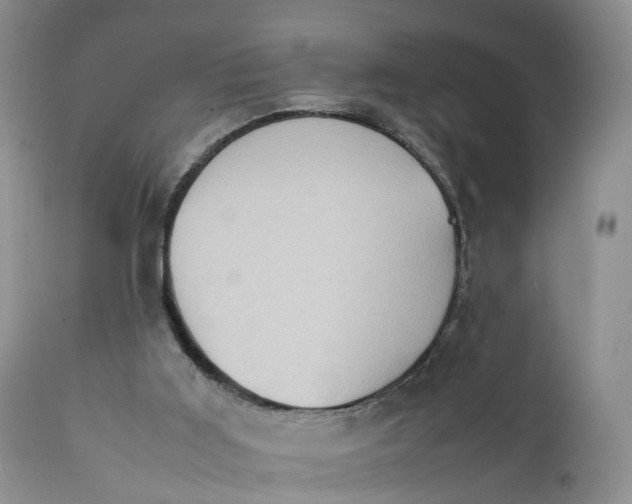 X0000111370011200907241257