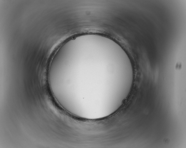 X0000111370012200907241257