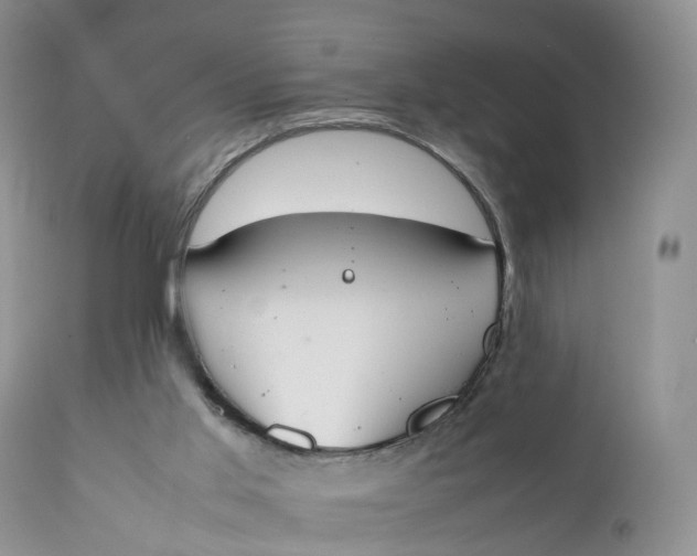 X0000111370013200907241257