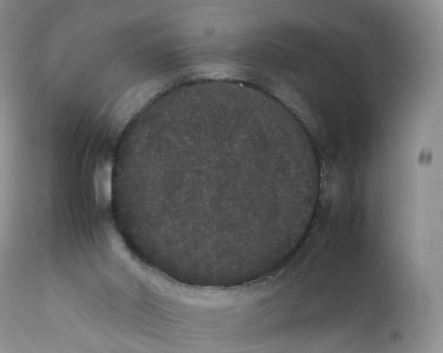 X0000111370014200907241257