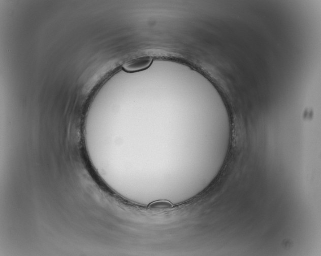 X0000111370015200907241257