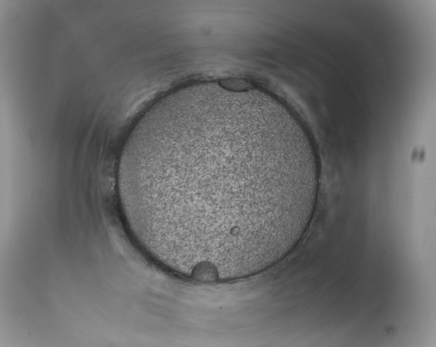 X0000111370017200907241257