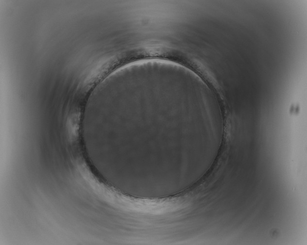 X0000111370018200907241257