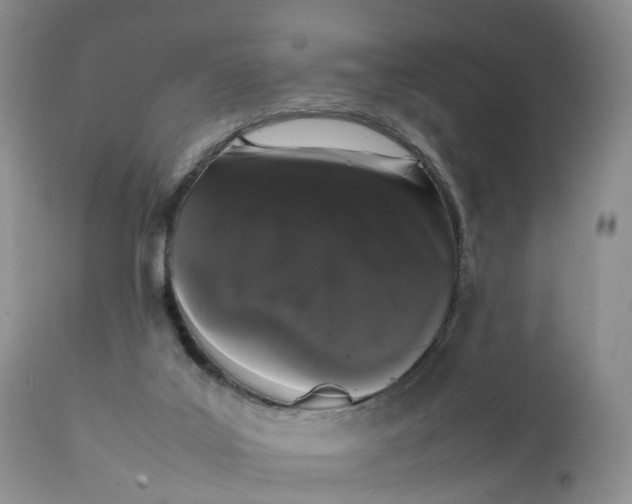 X0000111370019200907241257