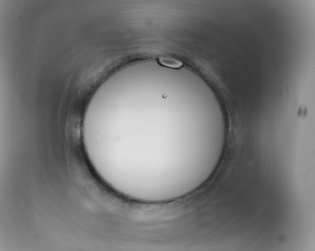 X0000111370021200907241257