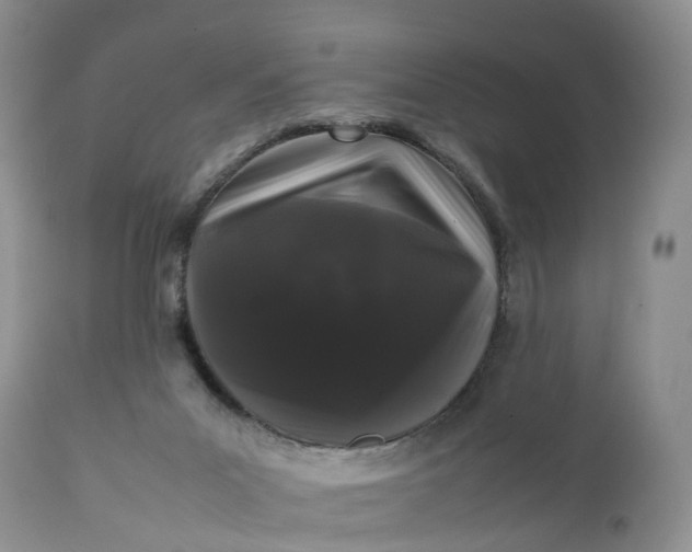 X0000111370023200907241257