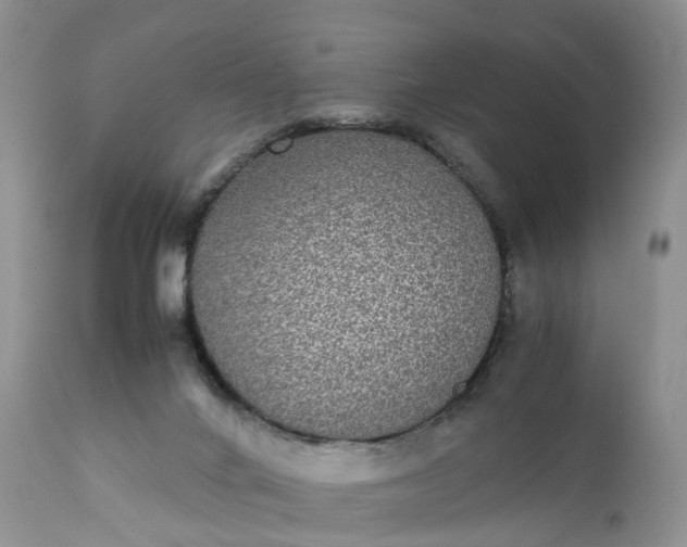 X0000111370024200907241257