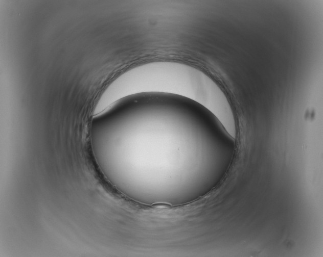 X0000111370025200907241257