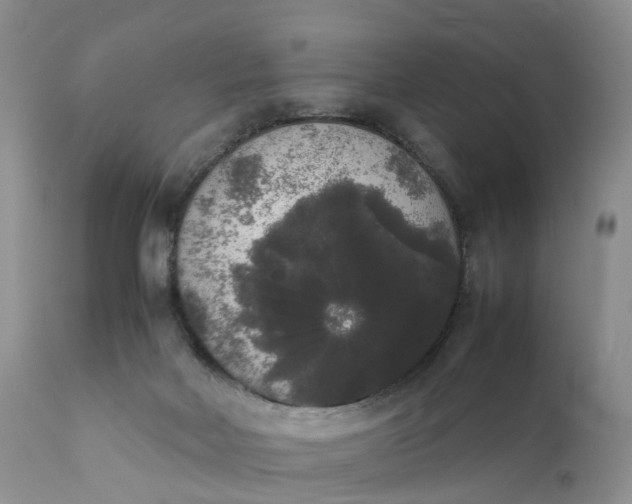 X0000111370026200907241257