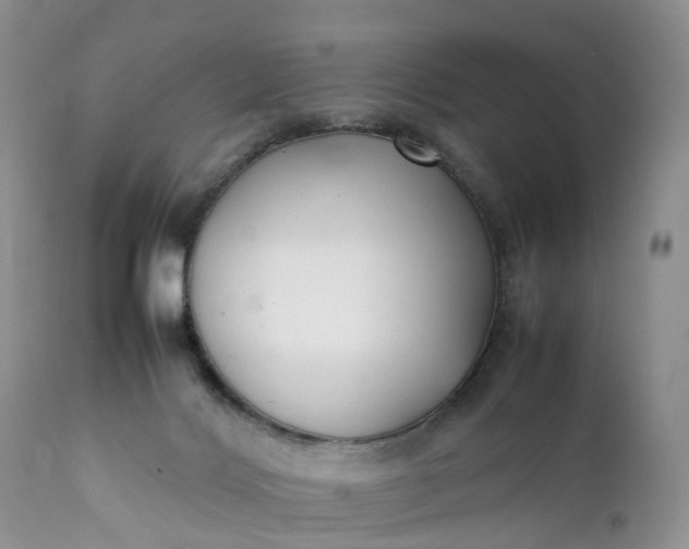 X0000111370028200907241257