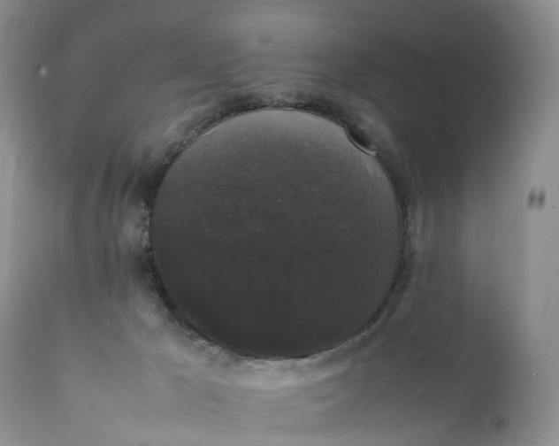 X0000111370029200907241257