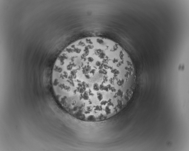 X0000111370030200907241257