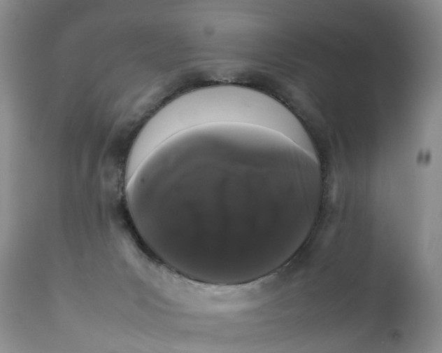 X0000111370031200907241257