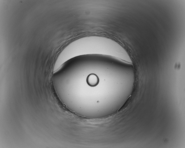 X0000111370033200907241256