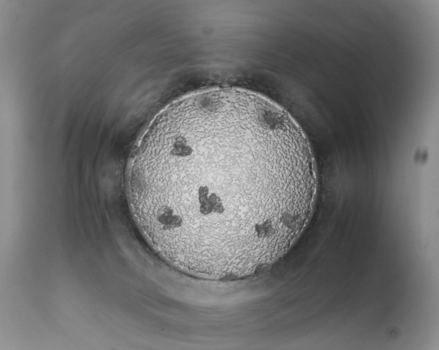 X0000111370034200907241256