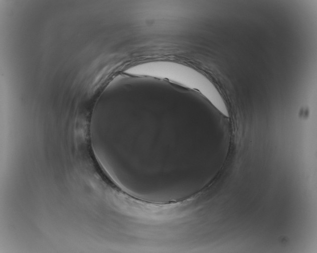 X0000111370035200907241256