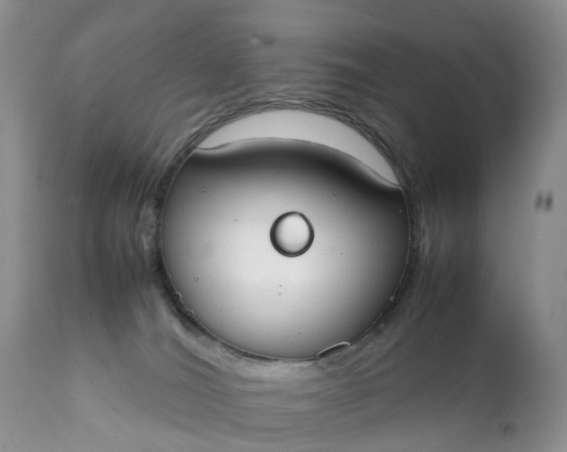 X0000111370036200907241256