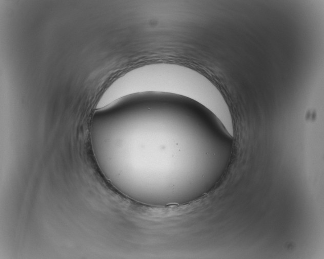 X0000111370037200907241256